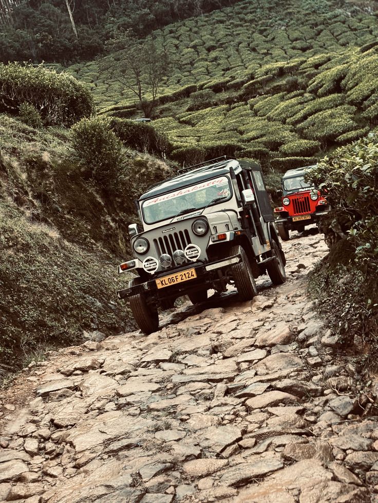 Masinagudi Jeep Safari