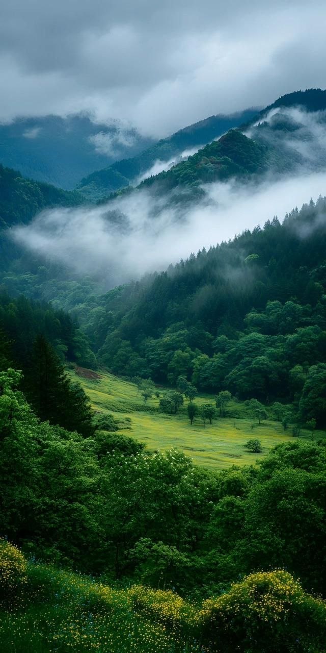 Munnar