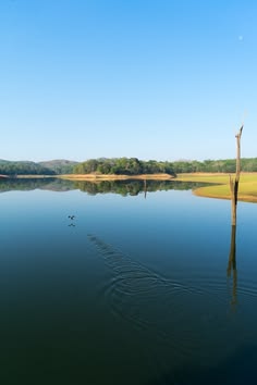 Periyar Lake Boat Ride